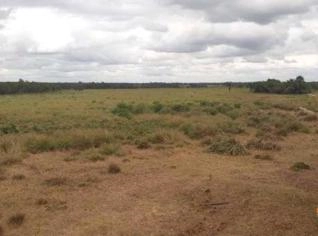 Fazenda com 1.100 ha bem localizada no MA