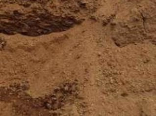 Cama de Aviário Pura e Natural com Nutrientes Ricos