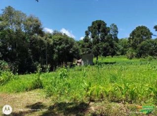 Chácara 3 Alqueires com Casa em Mandirituba - PR