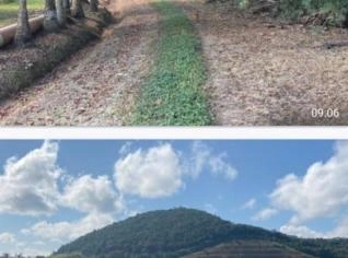 Sítio em Miracatu - Oportunidade Imperdível