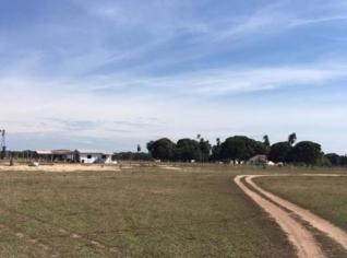 Fazenda de 35 hectares à venda em Coxim - MS