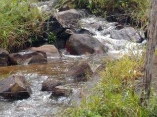 Fazenda com Nascente de Rio em Ibicaraí - BA
