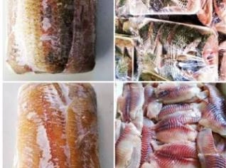 Filé de Tilápia Fresco - 500g | Sem Água