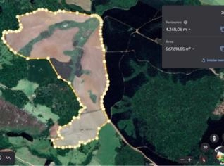 Área para plantio de soja em Piraí do Sul - 43,56 ha