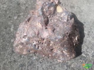 Meteorito 1 kg - Autêntico e Exclusivo