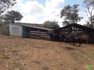 Fazenda São Bento em Minas Gerais - Completa e Sustentável