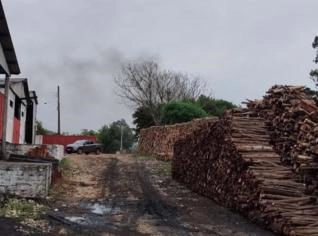 Lenha de Eucalipto e Acácia - Preço Justo