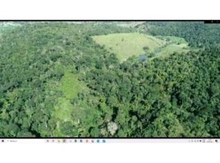 Bioma Mata Atlântica em Cacau Cabruca