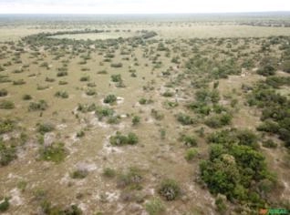 Fazenda com 1400 Hectares em São Romão, MG