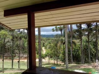 Fazenda Luxuosa com 160 Alqueires em Tijucas do Sul