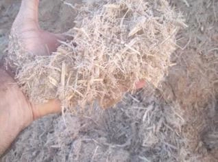 Bagaço de Cana Natural para Diversos Fins