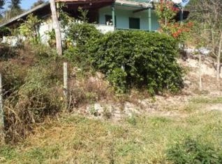 Sítio 11 Hectares Produtivos em Cocais - Barão de Cocais
