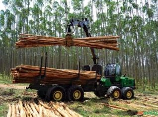 Forwarder John Deere 1910E - Ano 2018, Excelente Estado