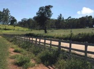 Fazenda de Café com 200 Hectares em MG