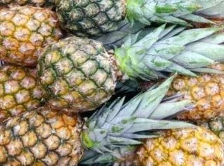 Compra de Abacaxi em Ponta Porã - MS