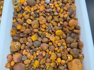 Pedra Fel de Boi - 5 a 10 kg/mês