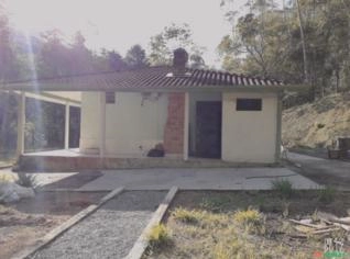 Fazenda com Reflorestamento de Eucalipto em SP