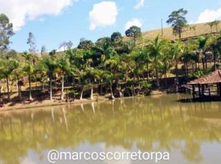 Sítio Completo em Ouro Fino, MG - 7 Alqueires