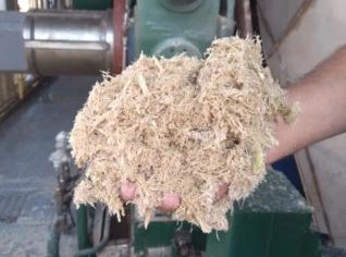 Bagaço de Cana para Dieta Animal e Queima - 1 Ton