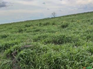 Área de 1.060 hectares em Ribeiro Gonçalves - PI