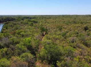 Fazenda em Paranã à venda