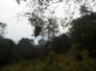 Terreno Rural 26.500m² em Mateus Leme - MG