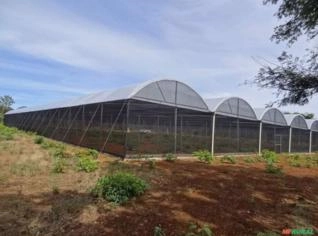 Estufa Agrícola 480m² com Estrutura em SP