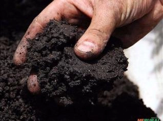 Húmus Puro de Minhoca - Adubo Completo para Plantas