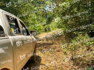 Fazenda em Paragominas - Oportunidade Única
