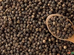 Pimenta-do-Reino Preta - Unidade