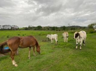 Terreno de 1000m² em Jacareí para Chácaras