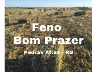 Feno de Aveia - Fardos de Palha de Trigo