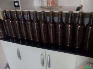 Castanha Baru Natural - Benefícios para Saúde e Beleza