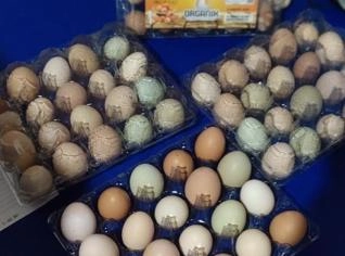 Ovos Caipiras Frescos de Aves Criadas a Pasto