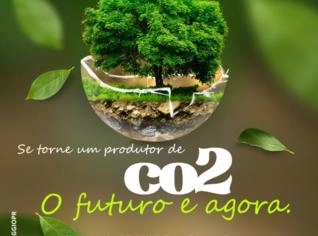 Créditos de Carbono - A oportunidade do mercado verde