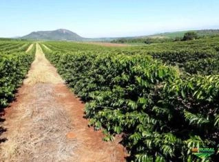 Fazenda de Café Arábica 990ha em Lassance/MG