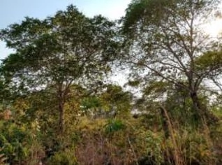 Terreno Rural à Venda em Água Fria - Chapada dos Guimarães