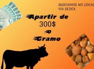 Compra de Pedras de Fel em Porto Alegre - RS