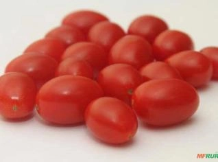 Tomate Grape BRS Zamir - Rico em Licopeno