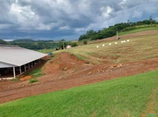 Fazenda Completa para Leite e Aviário em Maravilha SC