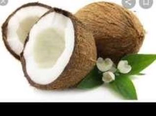 Vendedor de Coco Seco em Eunápolis - BA