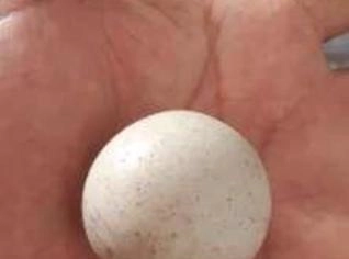 Pedra Lonsdaleite Natural Rara
