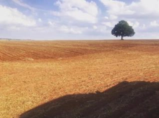 Fazenda Pronta para Plantio em Formosa do Oeste - PR