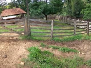Fazenda Rio das Pedras em Cachoeira Paulista-SP