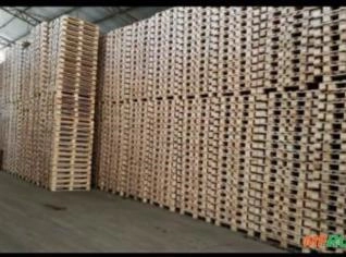 Pallet PBR - Qualidade e preço baixo