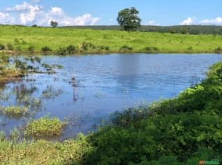 Fazenda Coroatá de 740ha em Mansidão, BA
