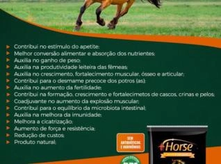 Suplemento Mineral +Horse para Cavalos - 10kg