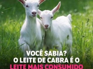 Leite de Cabra Natural e Sem Conservantes - 1 Litro
