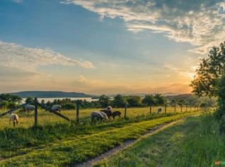 Compro Fazenda com Dívidas Acima de 70% do Valor