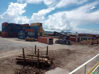 Compra de Toras de Teca para Exportação
